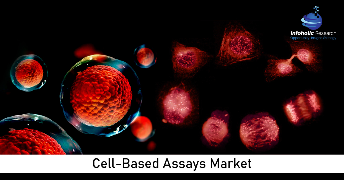 cell based assays market