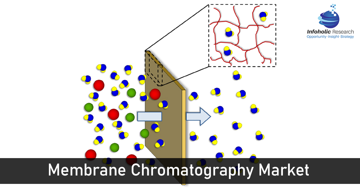 membrane-chromatography-market