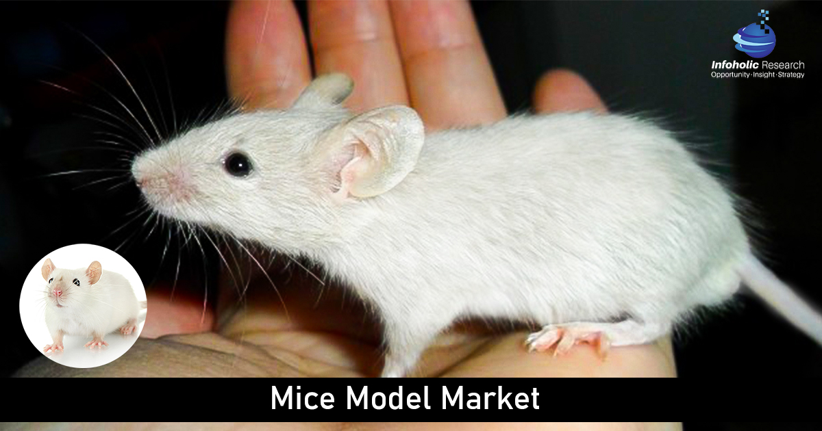 mice-model-market
