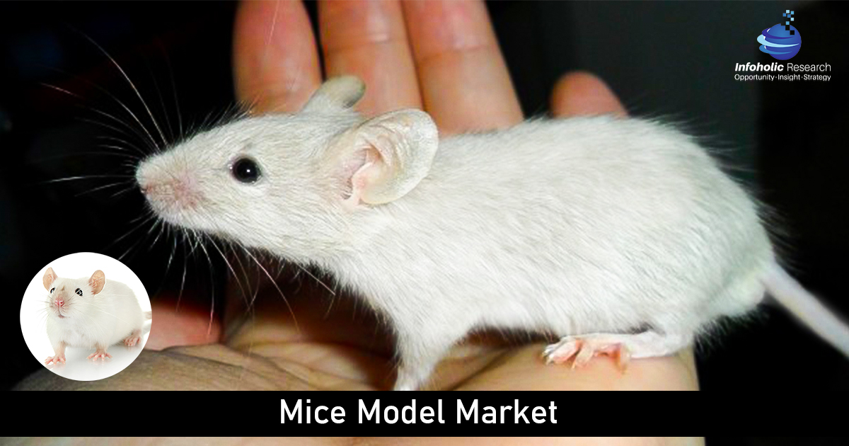 mice model market