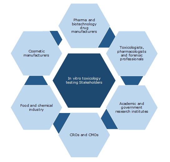 In Vitro Toxicology Testing Report